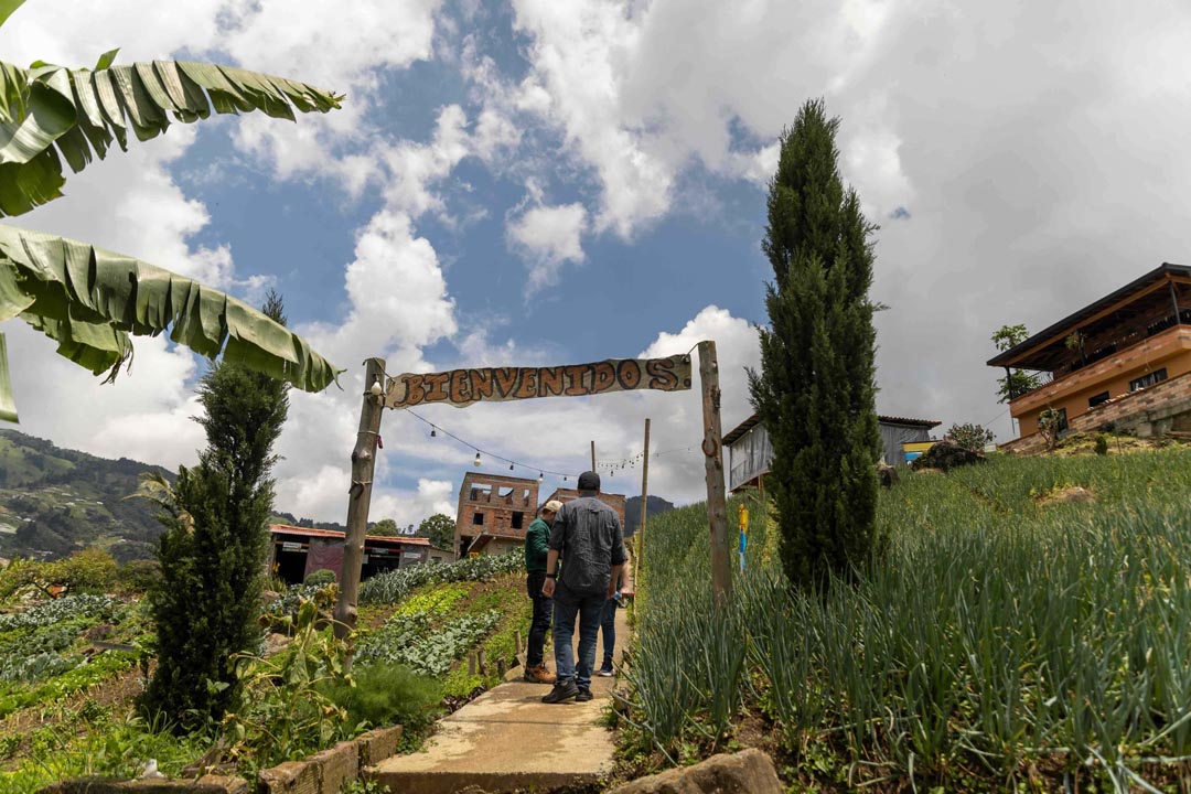 experiencia turística para cultivar el arraigo al campo