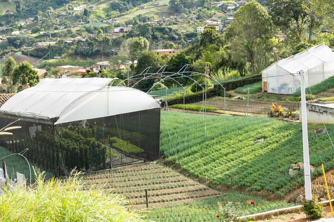 Imagen experiencia turística para cultivar el arraigo al campo en jóvenes rurales
