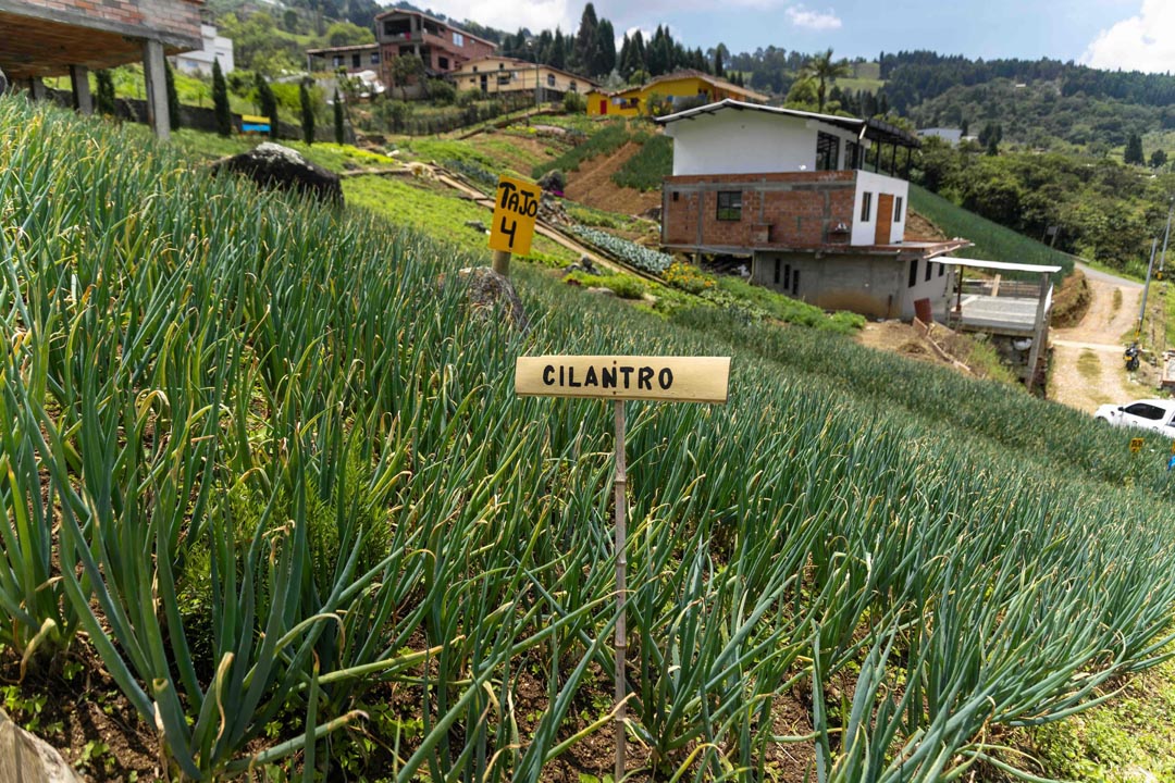 Imagen experiencia turística para cultivar el arraigo al campo en jóvenes rurales