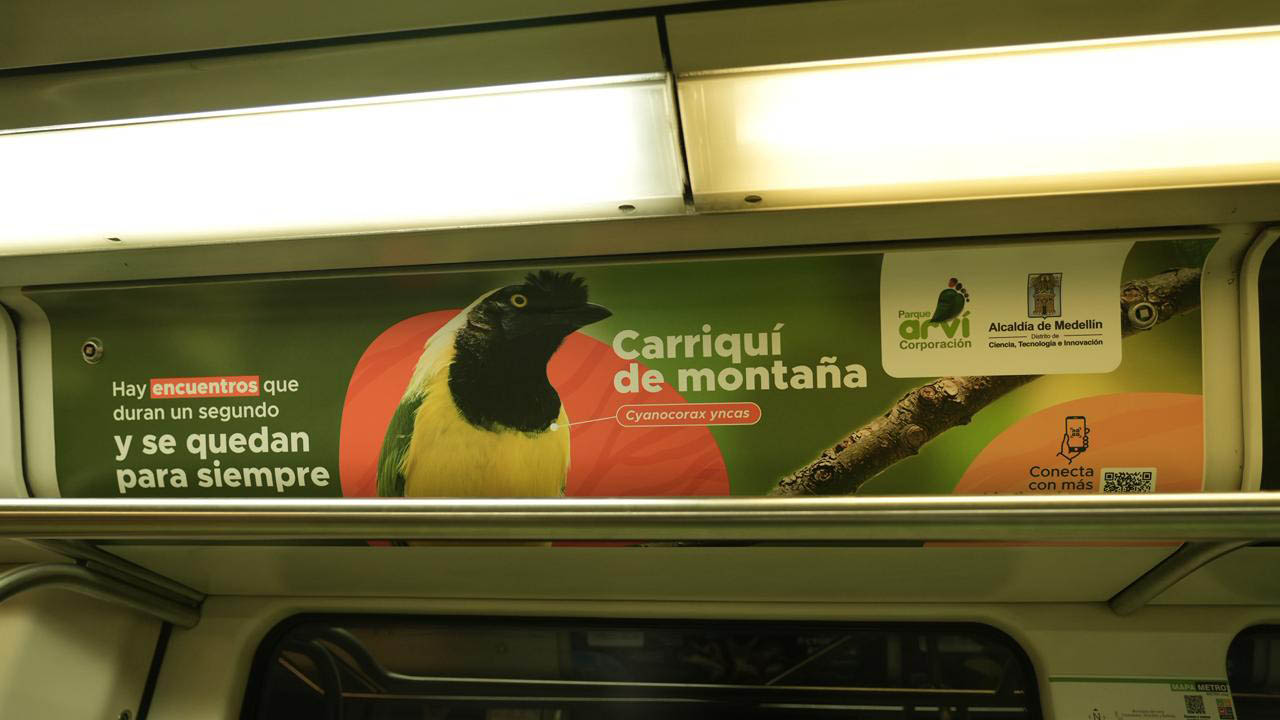 Imagen interior de vagón del metro con branding de biodiversidad