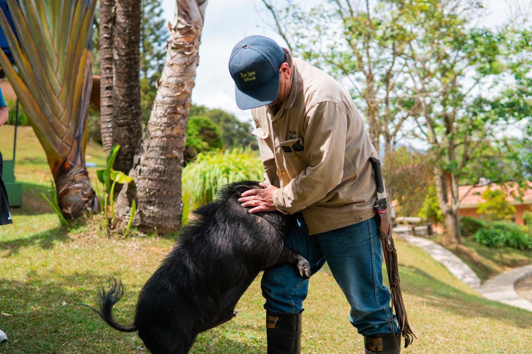 Imagen minipig vietnamita que fue adoptado en un colegio de Medellín (3)
