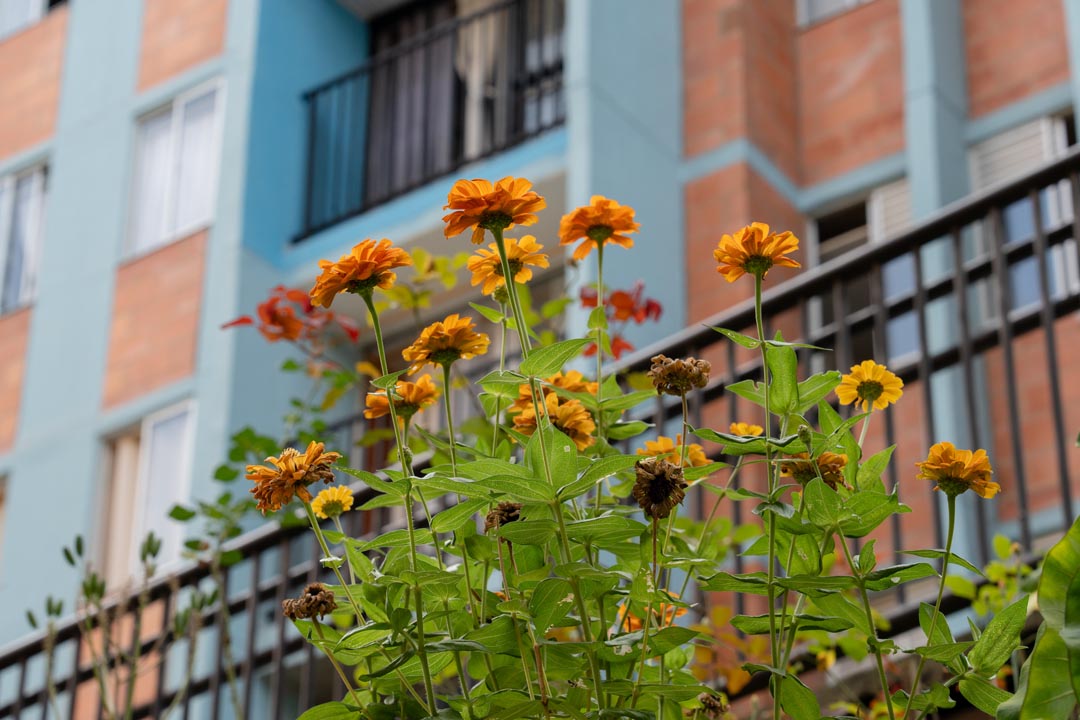 Urbanización Ventto cuidado