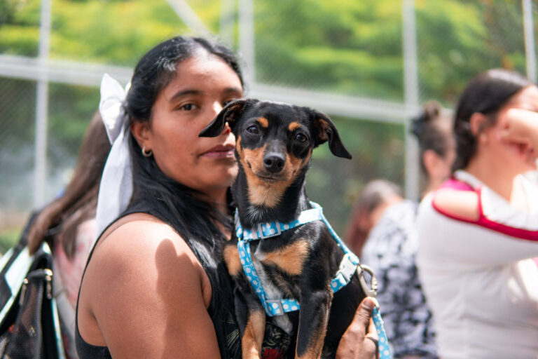 Imagen Alcaldía, la Perla, esterilizaciones de perros y gatos (3)