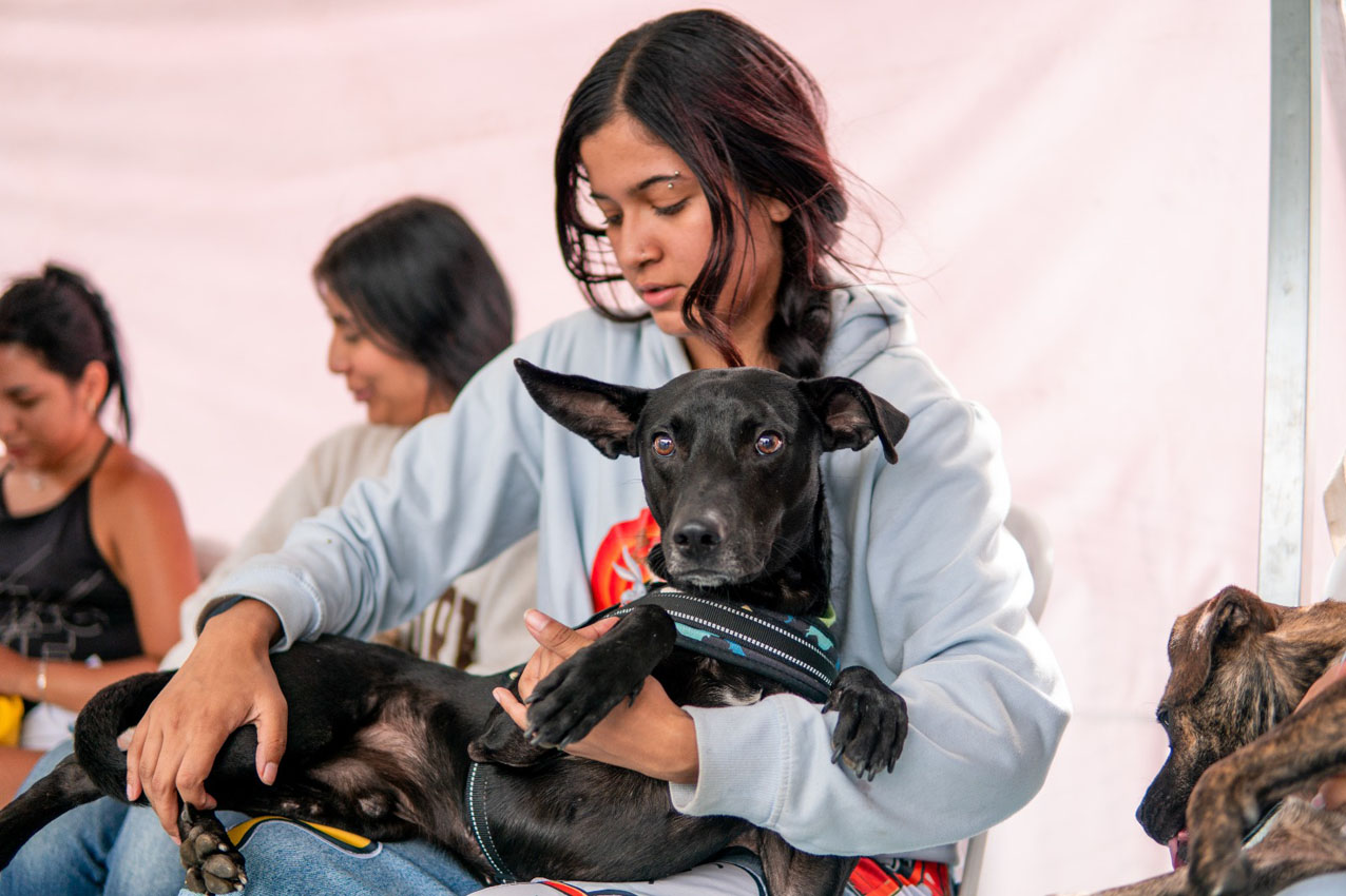 Imagen Alcaldía, la Perla, esterilizaciones de perros y gatos (5)