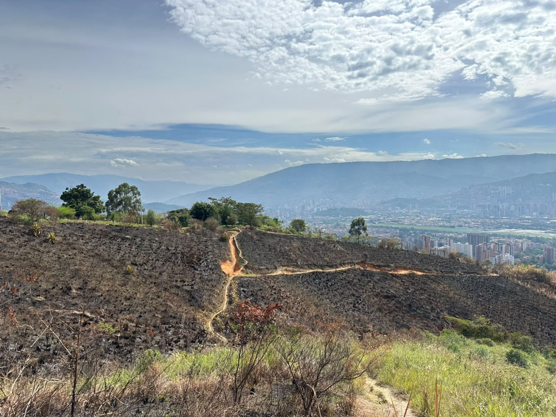 Imagen Cerro de las tres cruces 1 (4)
