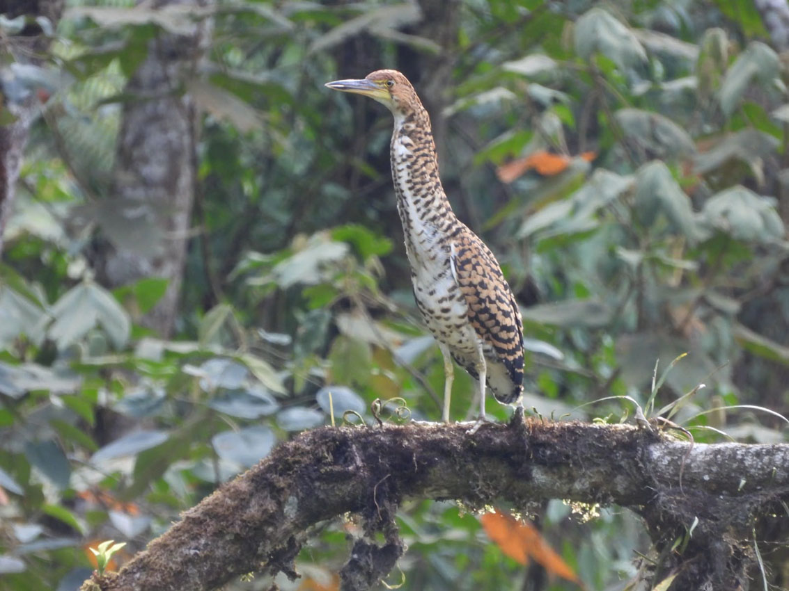 Imagen Medellín, Climate Week Biodiversity (3)