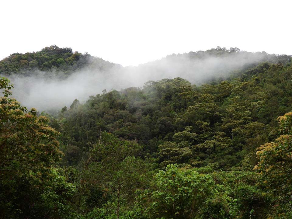 Imagen Medellín se alista para hablarle al mundo sobre acción climática