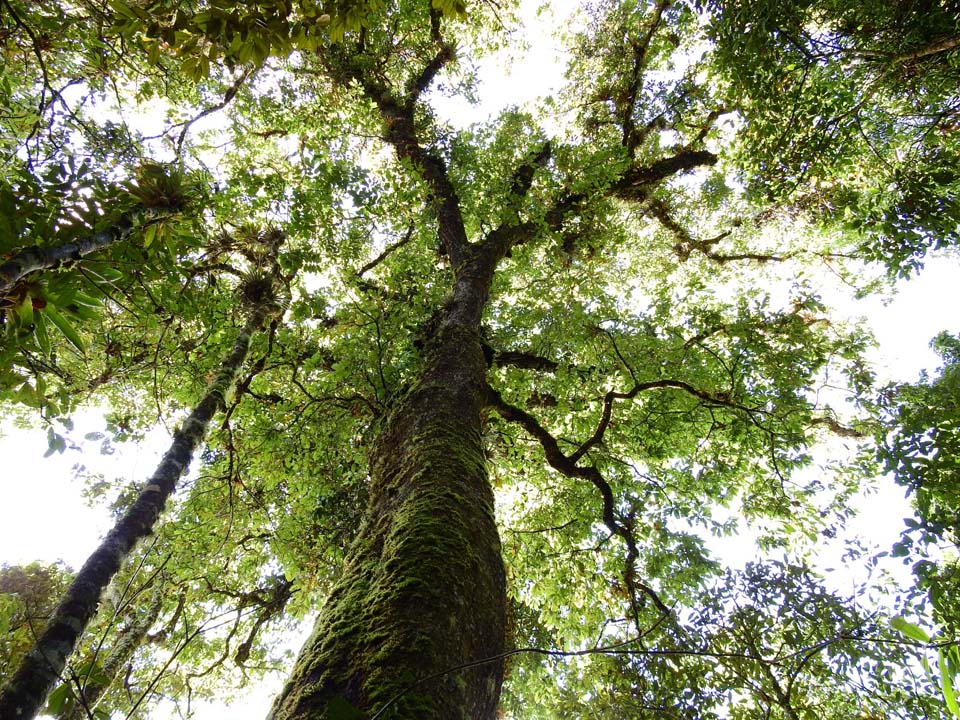Imagen Medellín se alista para hablarle al mundo sobre acción climática