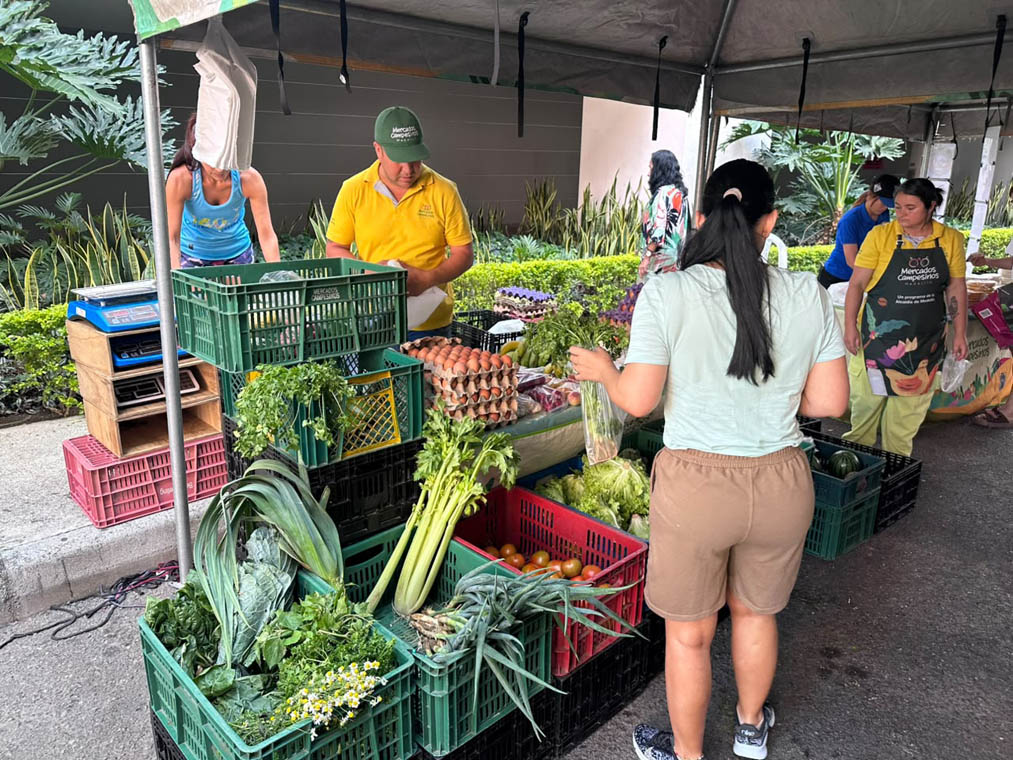 Imagen asistentes a Mercados Campesinos