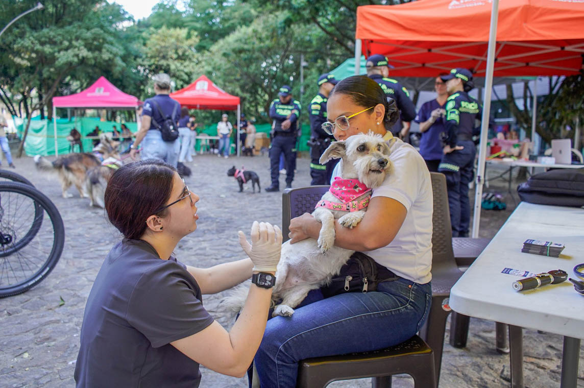 Imagen de personal veterinario con un perro y su dueño