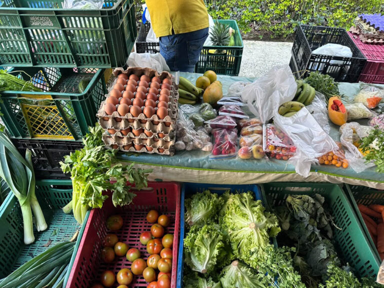 Imagen de productos a Mercados Campesinos