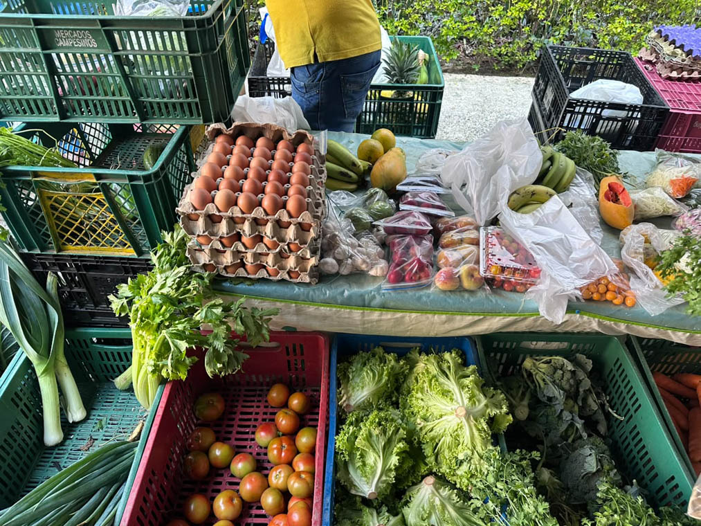 Imagen de productos a Mercados Campesinos