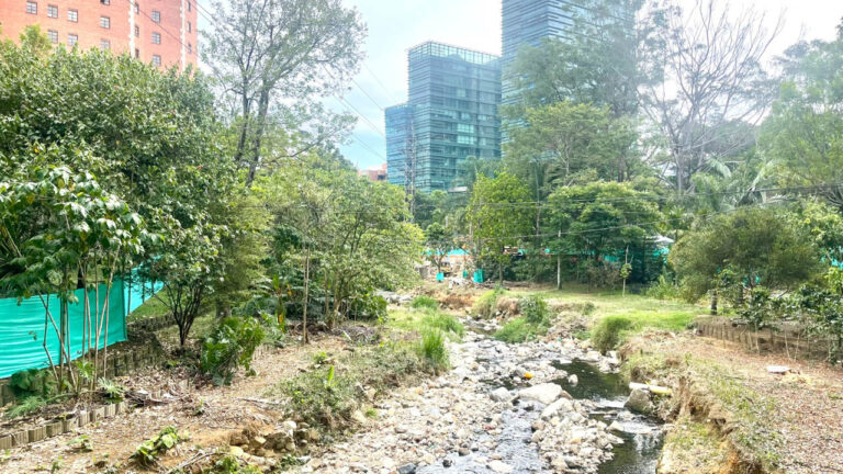 Imagen de quebrada La Presidenta