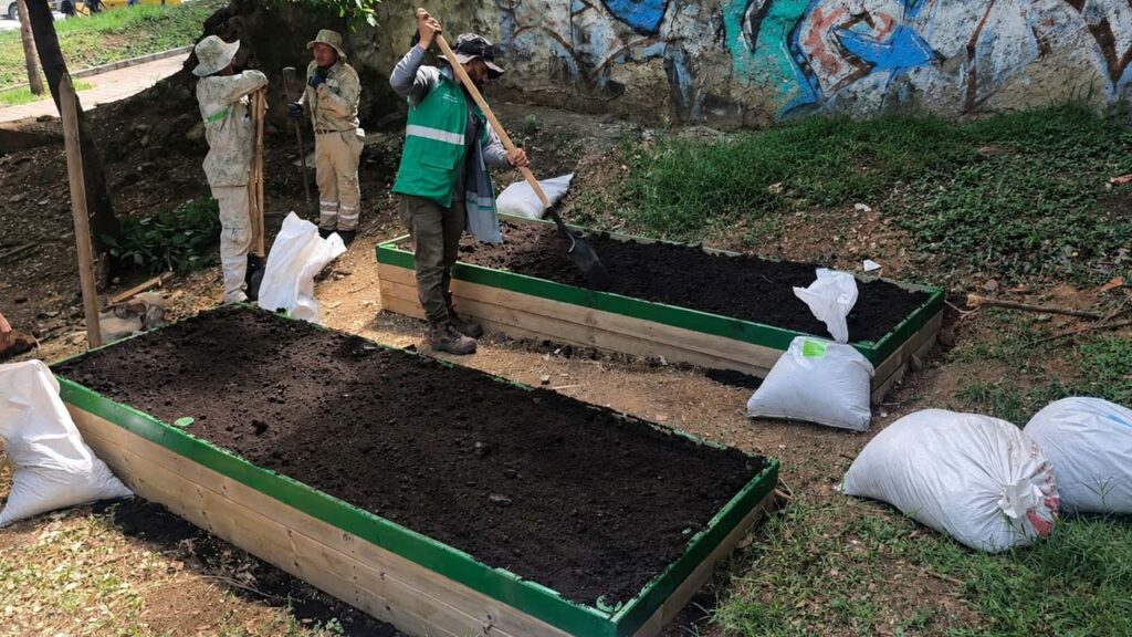 Huertas Imagen espacios verdes en aulas vivas