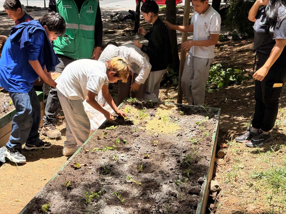Imagen espacios verdes en aulas vivas