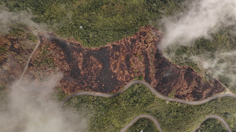 Imagen panorámica de incendios forestales