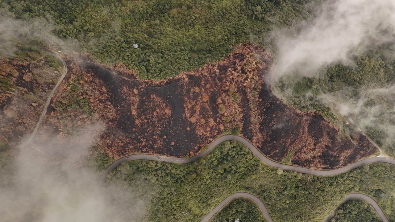 Imagen panorámica de incendios forestales