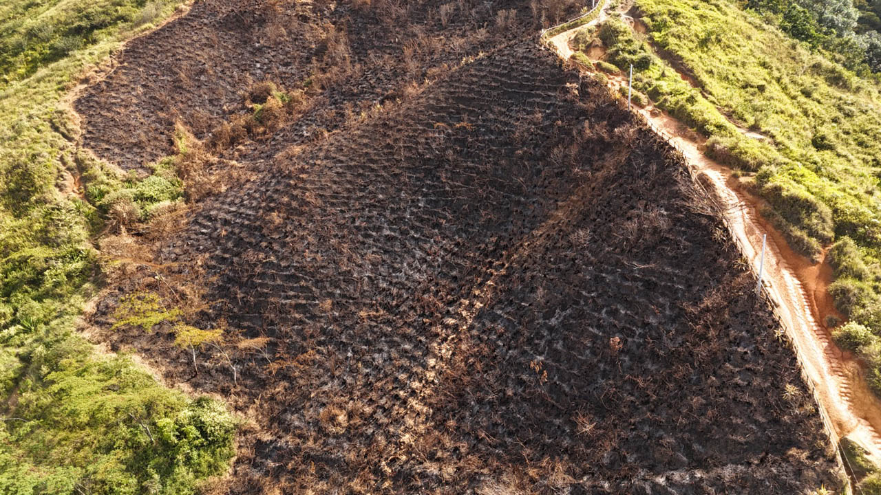 Imagen panorámica de un incendio forestal