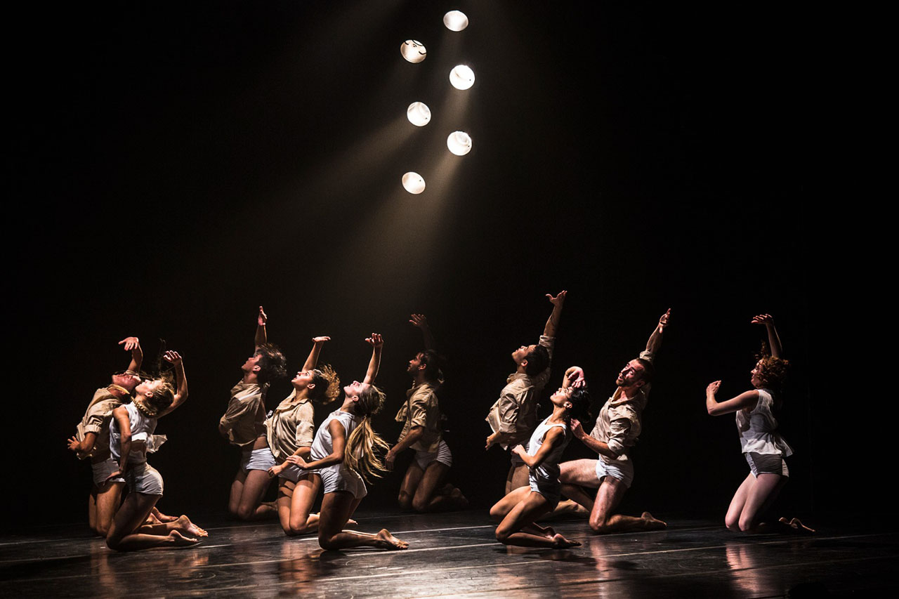 Imagen Danzamed (3)