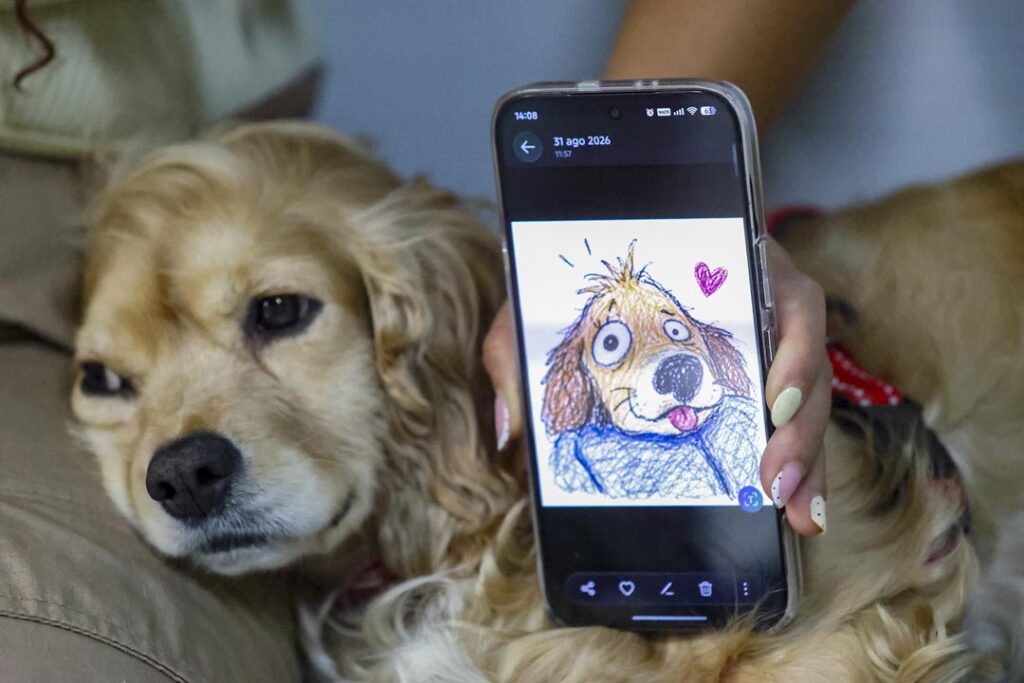 Dibujo de Almojabana, perra rescatada y adoptada Imagen En Medellín hay una almojábana peluda Almojabana, perra rescatada y adoptada_14