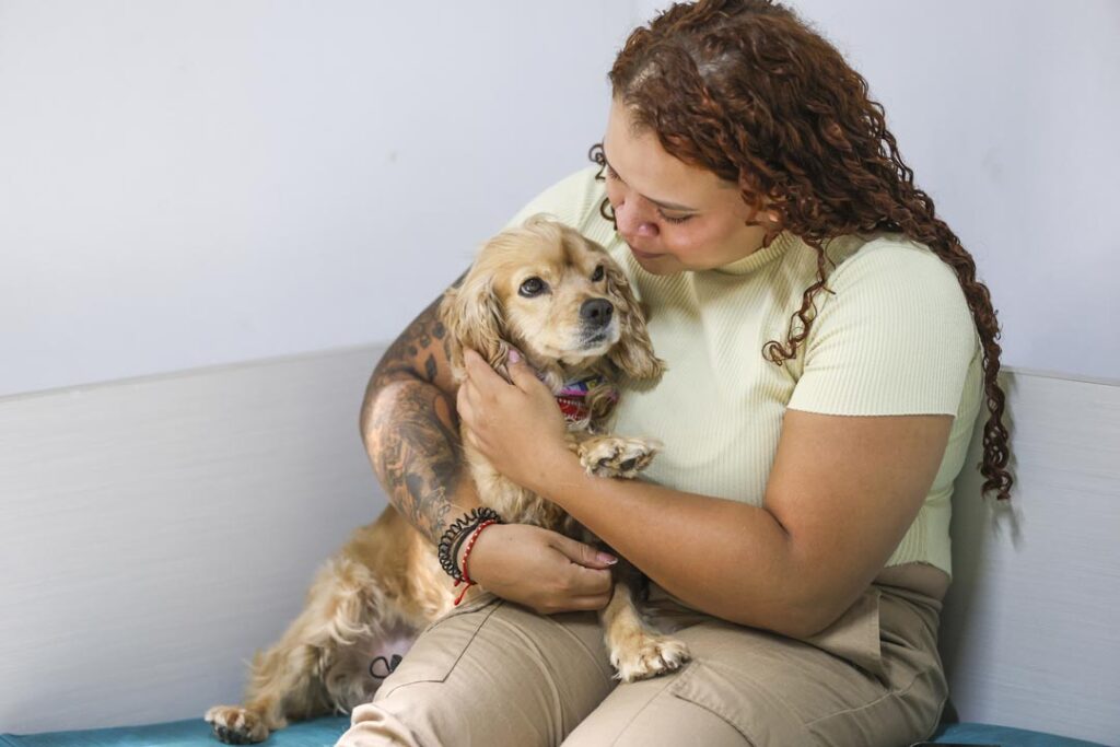 Perra rescatada y adoptada Imagen En Medellín hay una almojábana peluda Almojabana, perra rescatada y adoptada_15