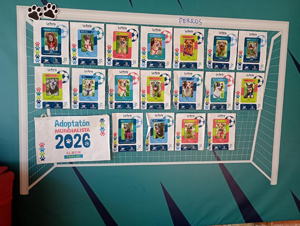 Adoptatón 2026 La Perla Adoptatón 2026 La Perla