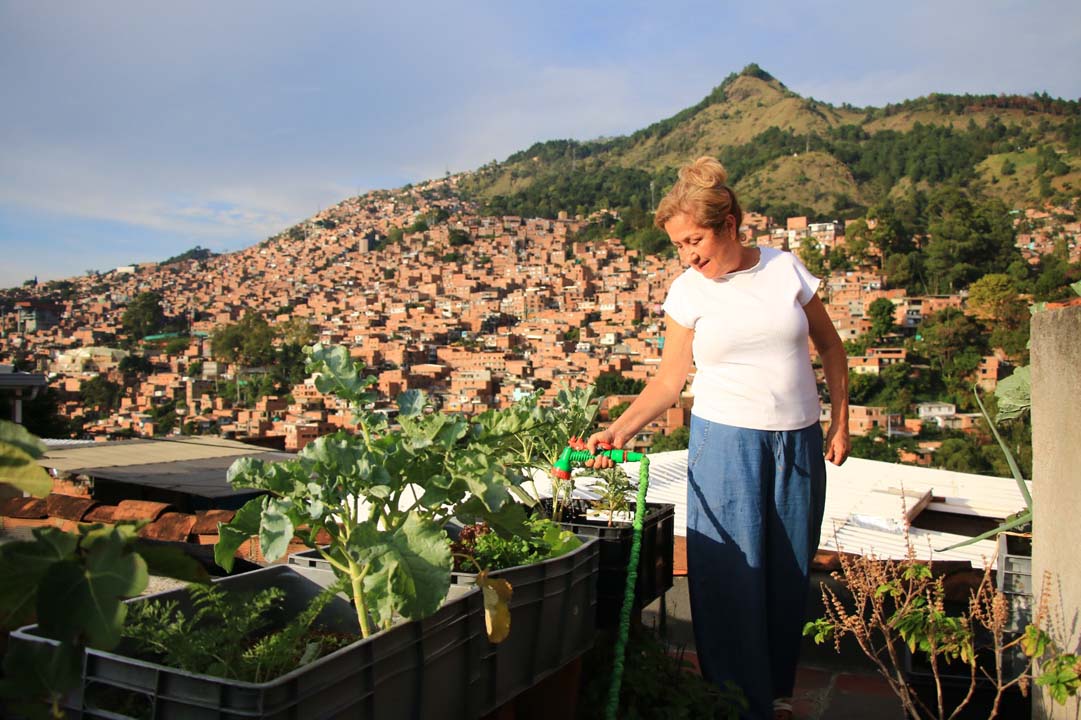 Imagen Medellín fortalece conocimientos para producir alimentos desde casa (1)