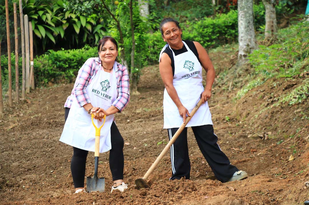 Imagen Medellín fortalece conocimientos para producir alimentos desde casa (1)