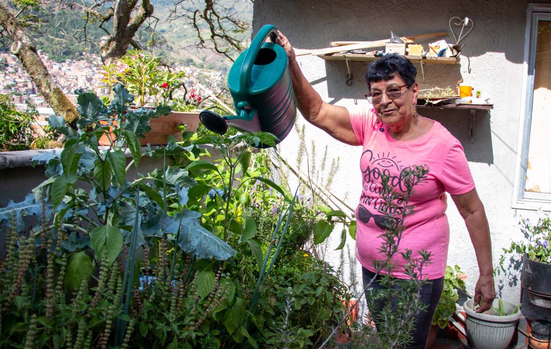 Imagen Medellín fortalece conocimientos para producir alimentos desde casa (1)