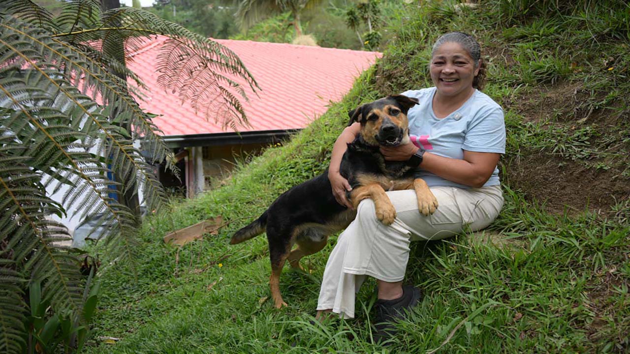 Imagen Mercados Campesinos de Medellín 05