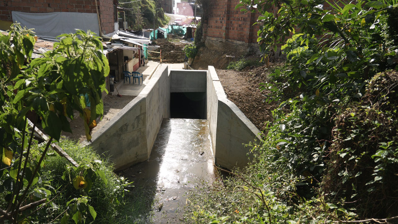 Imagen Mi río, mis quebradas (4)