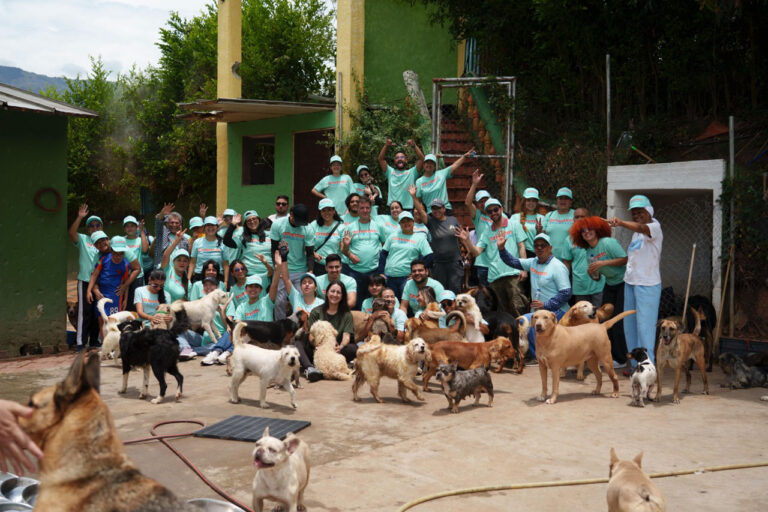 Imagen compromiso y estrategias institucionales aportan al medio ambiente desde la cultura ciudadana (4)