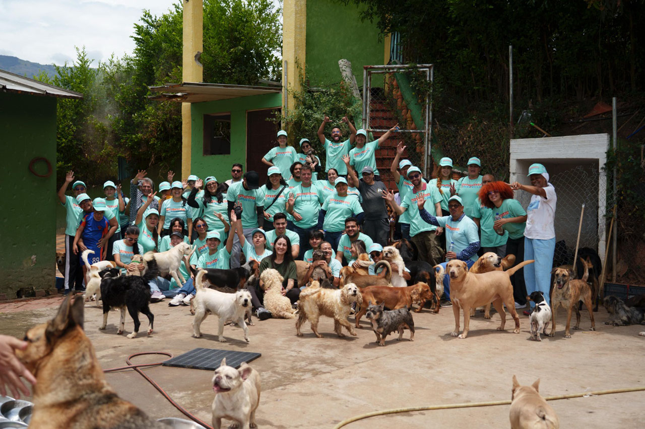 Imagen compromiso y estrategias institucionales aportan al medio ambiente desde la cultura ciudadana (4)