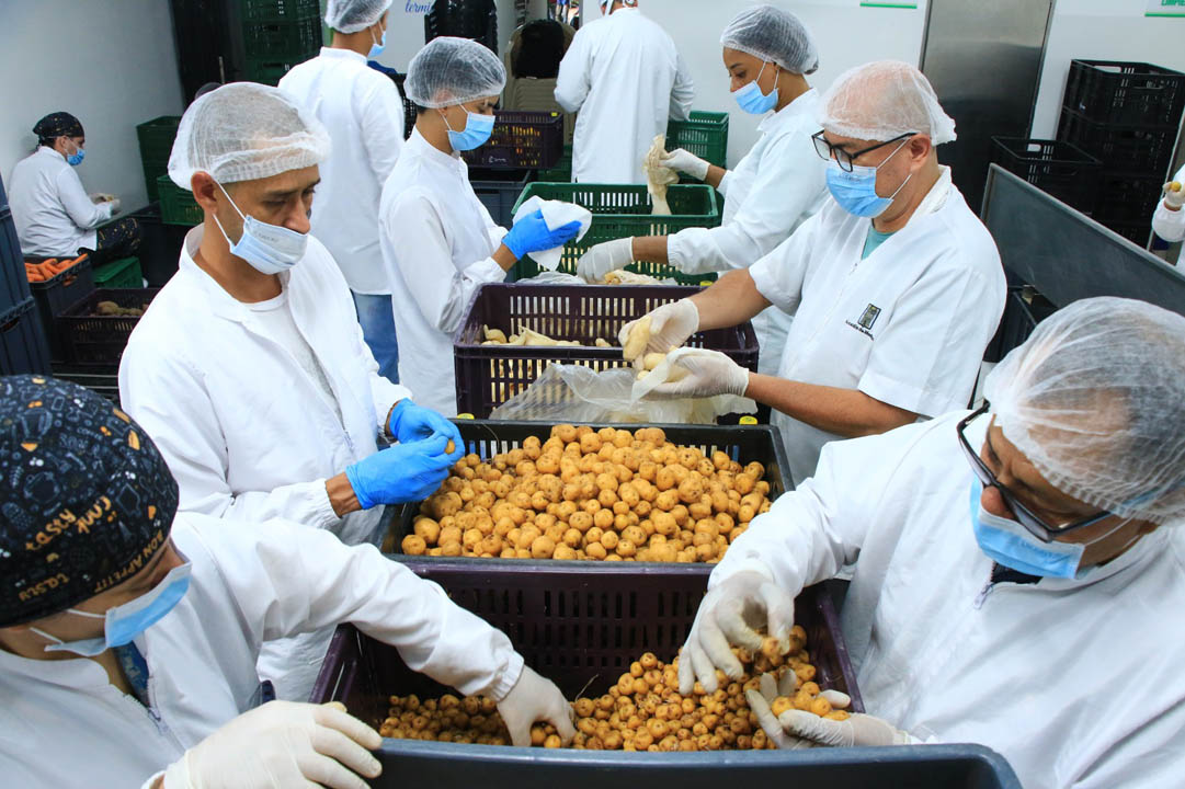 Imagen de funcionarios del Banco de Alimentos