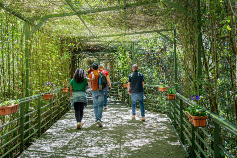 Imagen del Parque Arví
