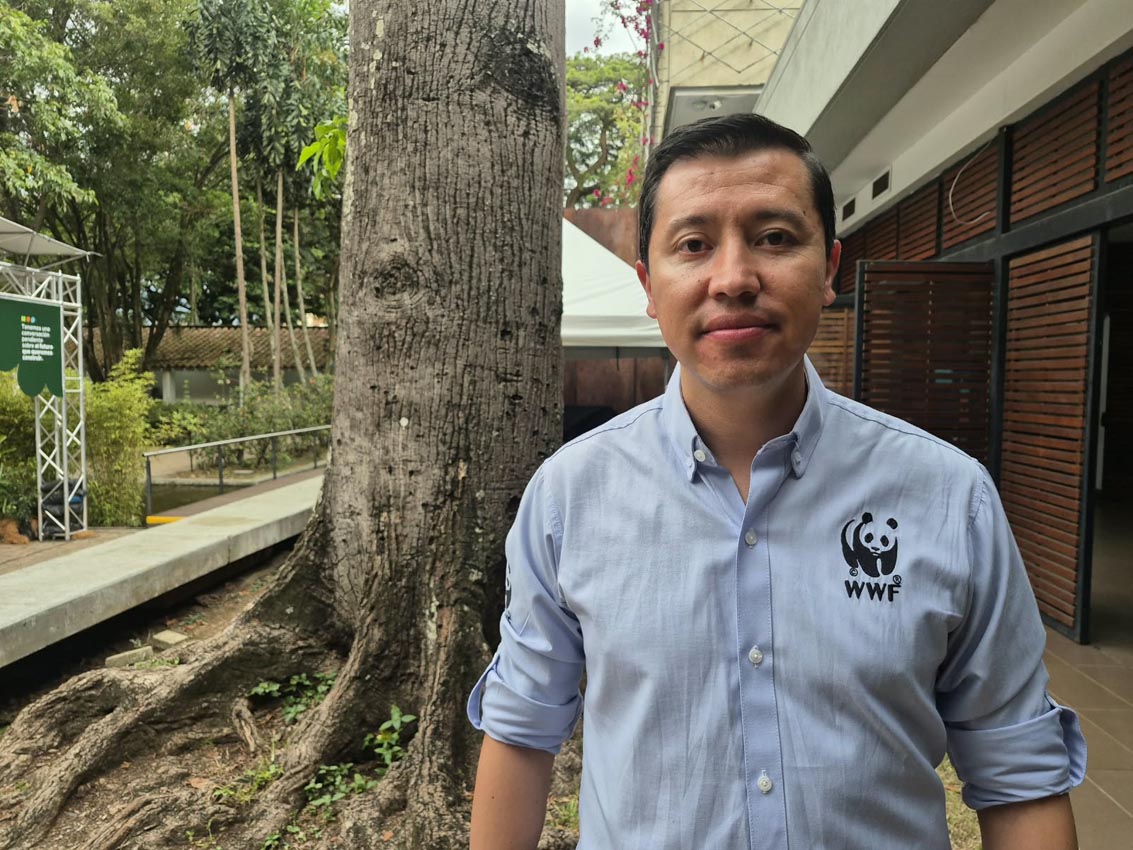 Nicolás Congote, coordinador de Medios e Incidencia de WWF Colombia. WWF organiza el concurso Sabiduría Salvaje. Nicolás Congote, coordinador de Medios e Incidencia de WWF Colombia. WWF organiza el concurso Sabiduría Salvaje.