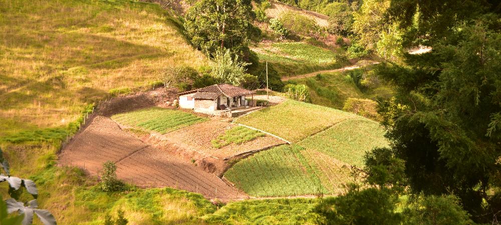 Corregimiento San Sebastian de Palmitas