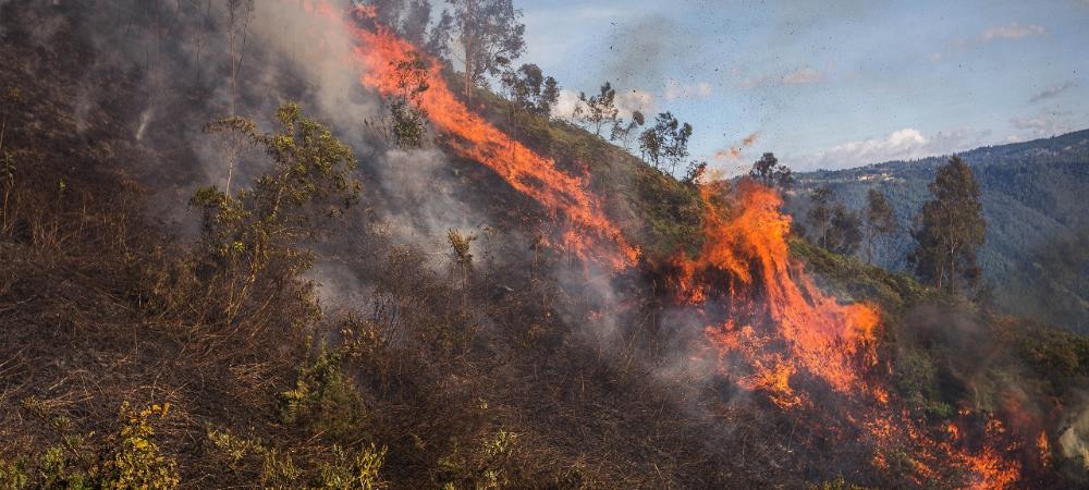 Con plan de contingencia, Bomberos Medellín refuerza atención de incendios forestales durante la temporada seca