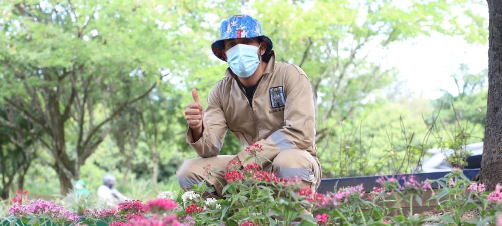 Puntos críticos de residuos se transforman en espacios verdes para la ciudad