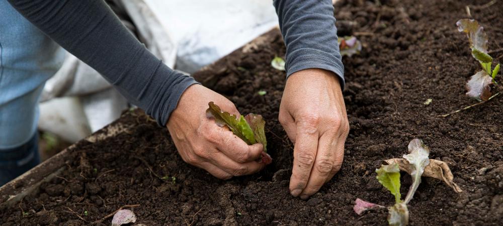 Medellín es la primera ciudad de Colombia en tener un acuerdo para definir los lineamientos de la Política Pública de Economía Circular