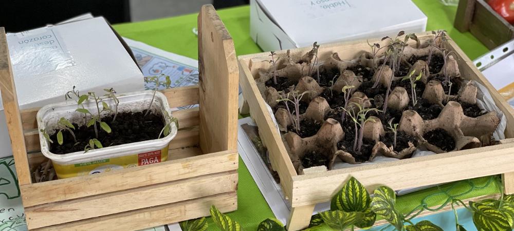 Con 30 proyectos de ciencia, tecnología e innovación, estudiantes de instituciones oficiales de Medellín hacen parte del Tech Fest 