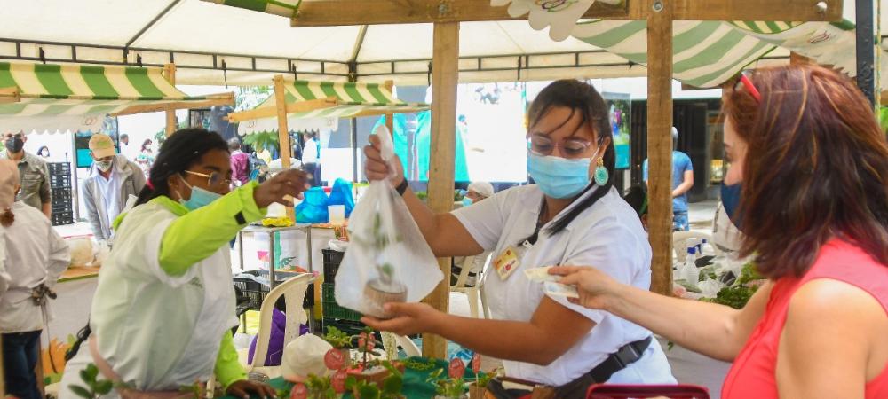 Mercados Campesinos cumple 33 años con más de 200 familias rurales beneficiadas y ventas por encima de los $4.300 millones en 2021