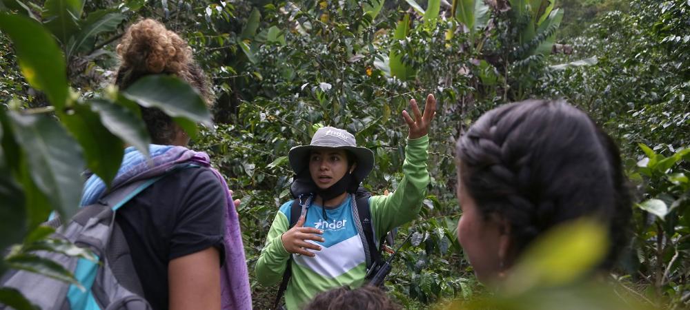Sin dejar huella, caminando por la Medellín urbana y rural