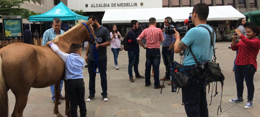 Récord de adopciones y acciones por el medio ambiente 