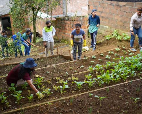 La Alcaldía de Medellín abre convocatoria para que jóvenes creen y cultiven sus huertas comunitarias