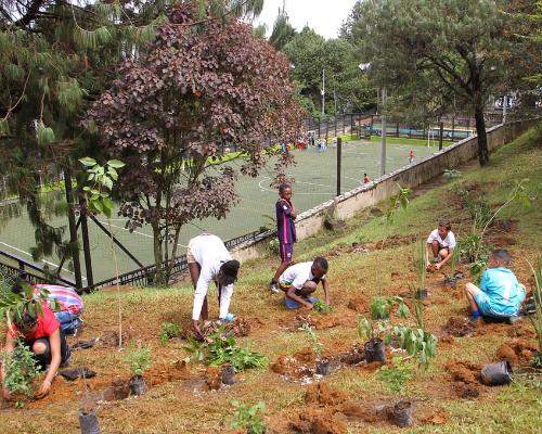 Con sembratón de 1.115 árboles y plantas hospederas mejora la calidad del aire en el Ecoparque Las Tinajas