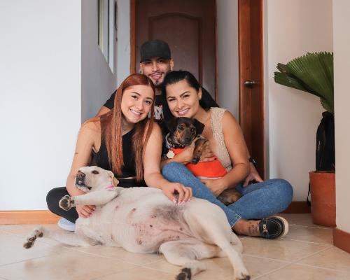 Más de 300 animales tienen una nueva familia gracias a las jornadas de adopción de la Alcaldía de Medellín