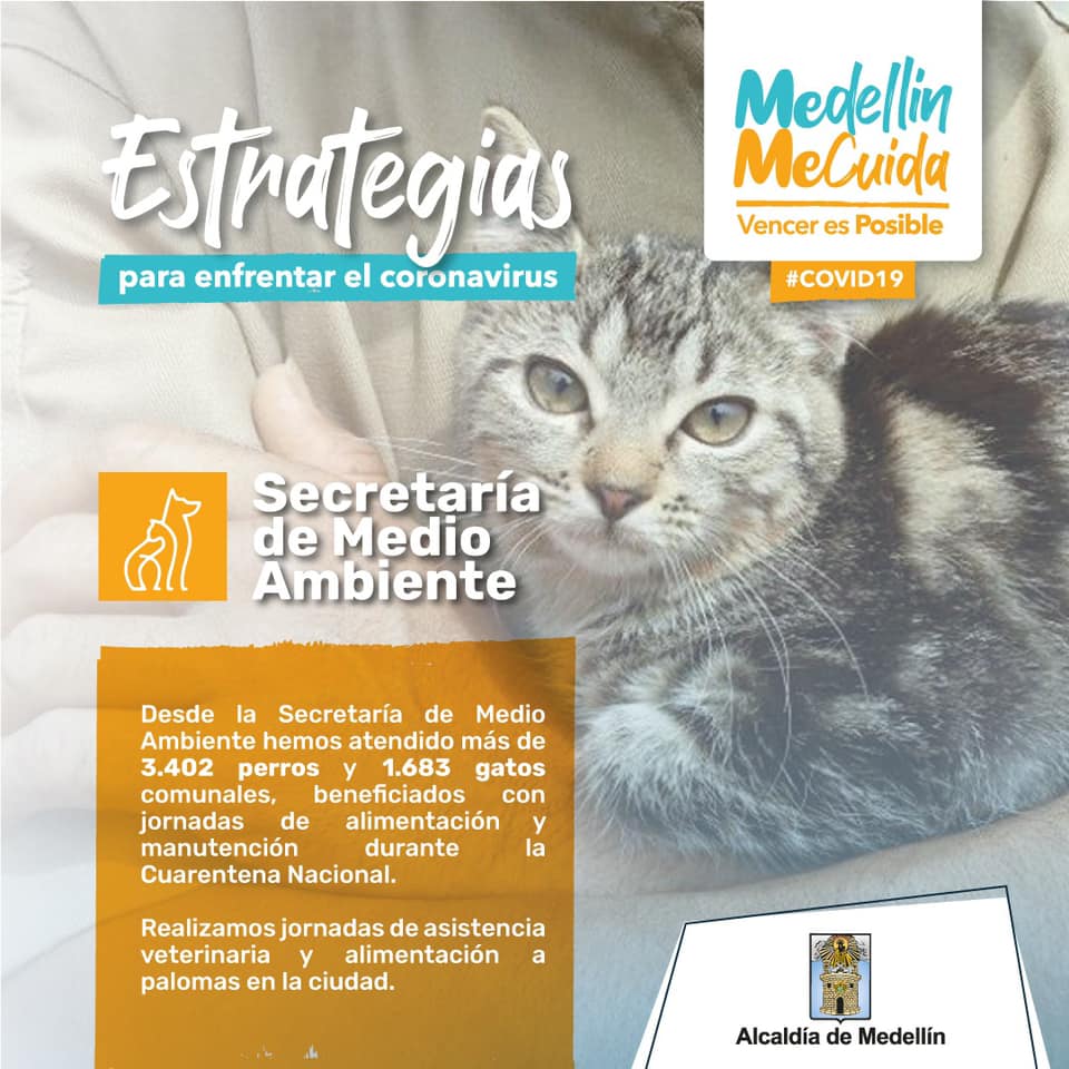 Estrategia para enfrentar el Coronavirus