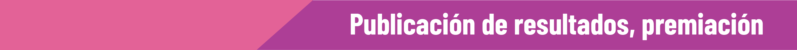 Publicación de resultados y premiación PREA